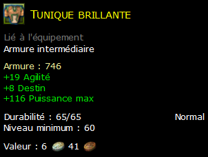 Tunique brillante