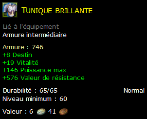 Tunique brillante