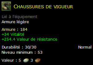 Chaussures de vigueur