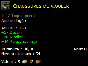 Chaussures de vigueur