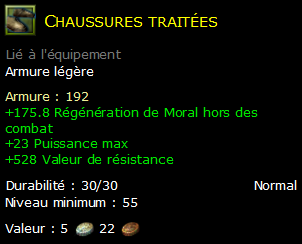 Chaussures traitées