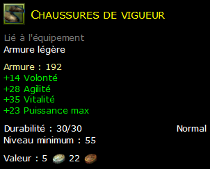 Chaussures de vigueur