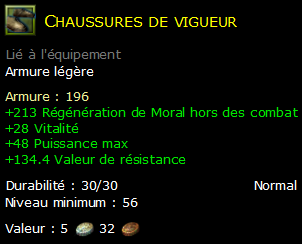 Chaussures de vigueur