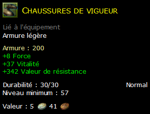 Chaussures de vigueur