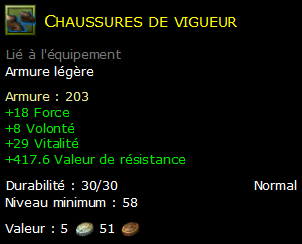 Chaussures de vigueur