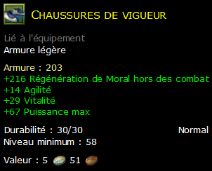 Chaussures de vigueur