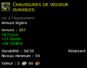 Chaussures de vigueur durables