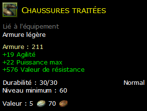 Chaussures traitées