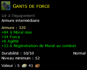 Gants de force