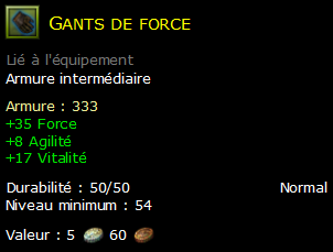 Gants de force