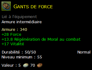 Gants de force