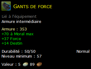 Gants de force