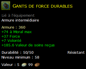 Gants de force durables