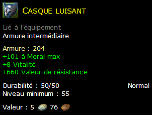 Casque luisant