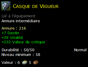 Casque de Vigueur