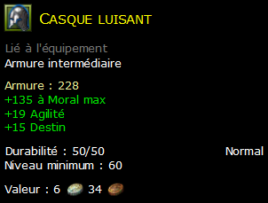 Casque luisant