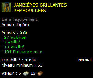 Jambières brillantes rembourrées