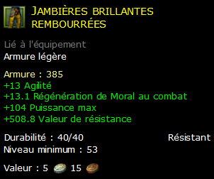 Jambières brillantes rembourrées