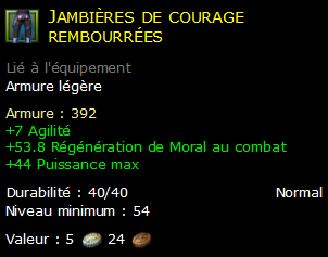 Jambières de courage rembourrées