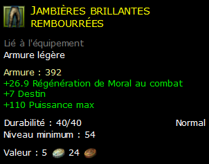 Jambières brillantes rembourrées