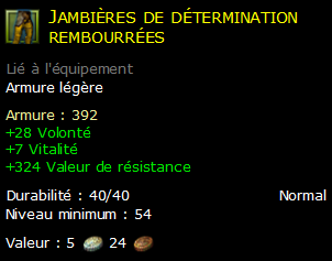 Jambières de détermination rembourrées