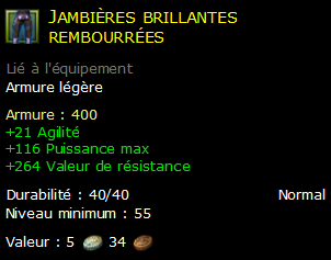 Jambières brillantes rembourrées