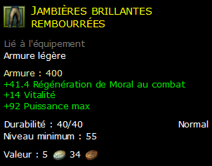 Jambières brillantes rembourrées