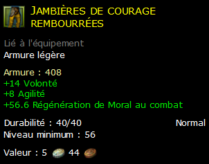 Jambières de courage rembourrées