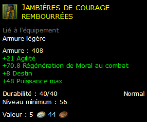 Jambières de courage rembourrées