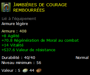 Jambières de courage rembourrées