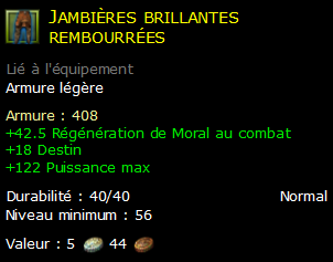 Jambières brillantes rembourrées