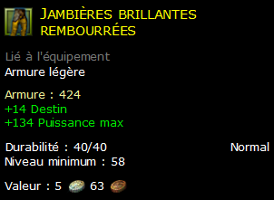 Jambières brillantes rembourrées