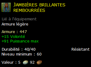 Jambières brillantes rembourrées