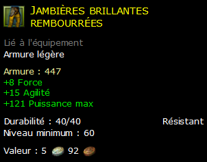 Jambières brillantes rembourrées