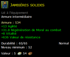 Jambières solides