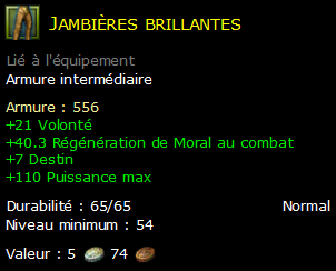 Jambières brillantes