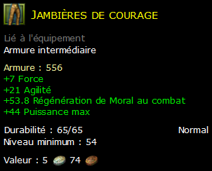 Jambières de courage