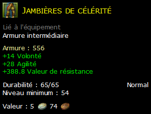 Jambières de célérité