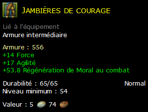 Jambières de courage