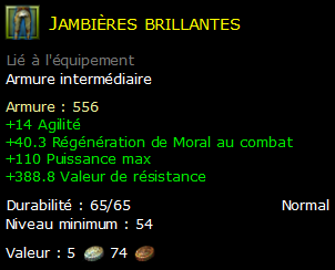 Jambières brillantes