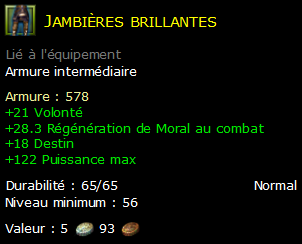 Jambières brillantes