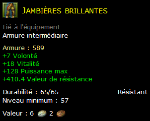 Jambières brillantes