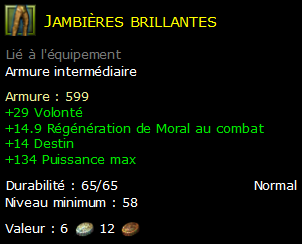 Jambières brillantes