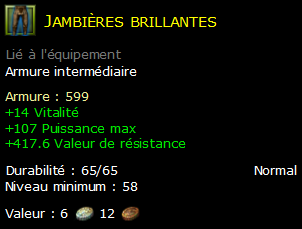 Jambières brillantes