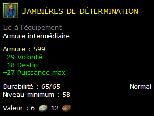 Jambières de détermination