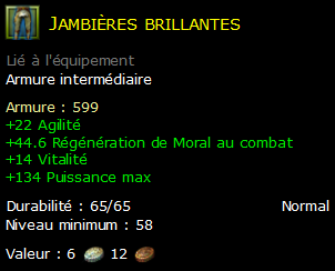 Jambières brillantes