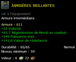 Jambières brillantes