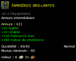 Jambières brillantes