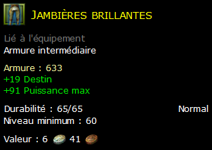 Jambières brillantes