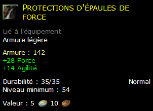 Protections d'épaules de force